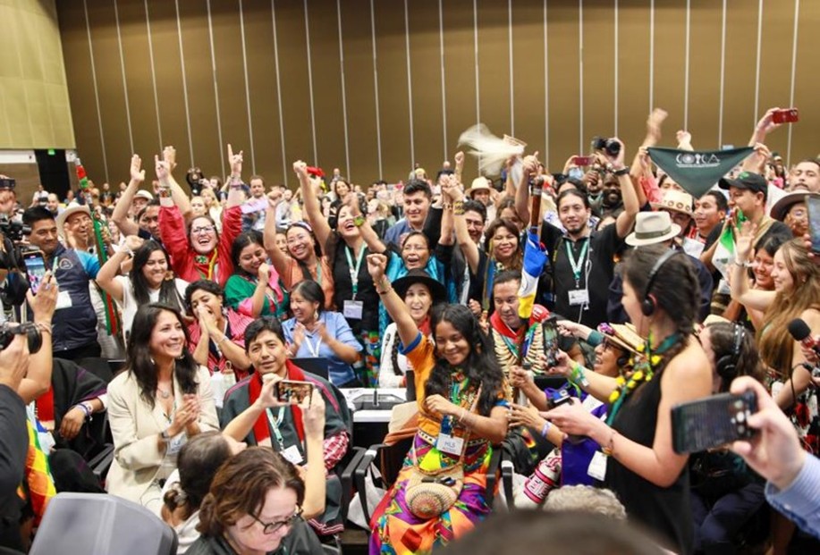 This year's summit elevated the voices of Indigenous Peoples and local communities (IPLC) in high-level discussions: rrepresentatives of IPLC erupted in cheers after the adoption of the establishment of a formal body representing their interests in biodiversity negotiations (a permanent subsidiary body for Art. 8(j) – SB8j). Photo by IISD/ENB | Mike Muzurakis